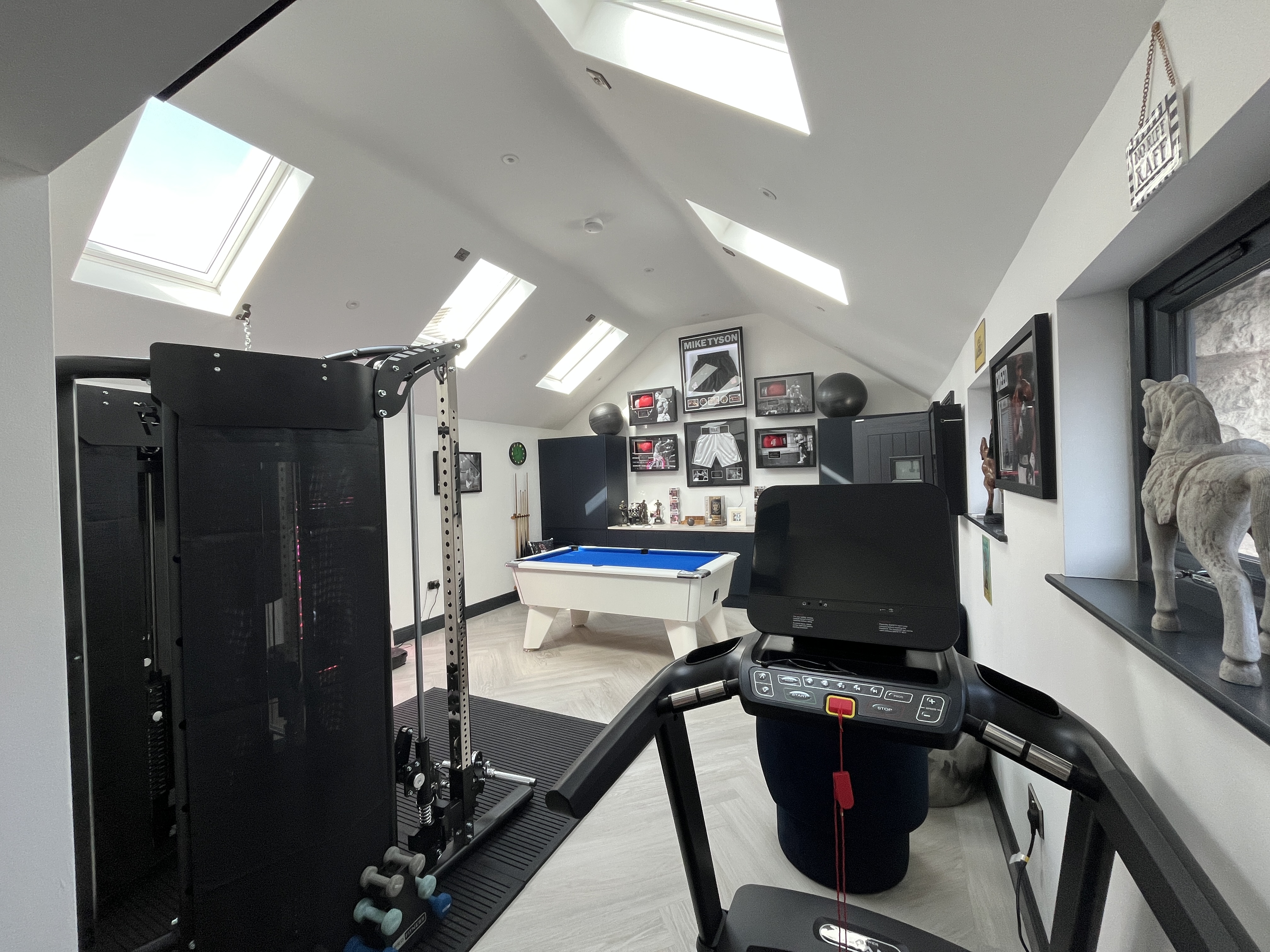 Specialist gym with vaulted ceiling
