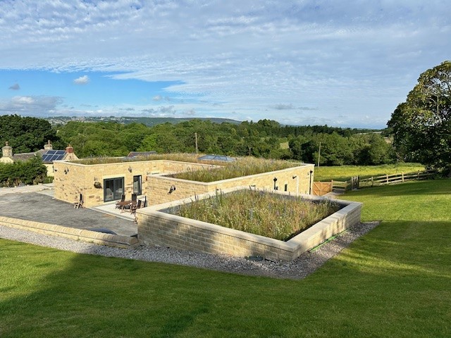 Springwood green roof detail